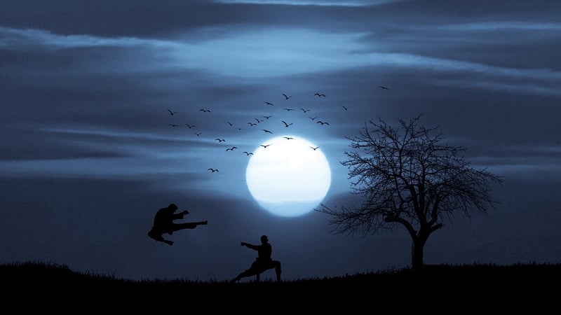 Tai Chi Harmony